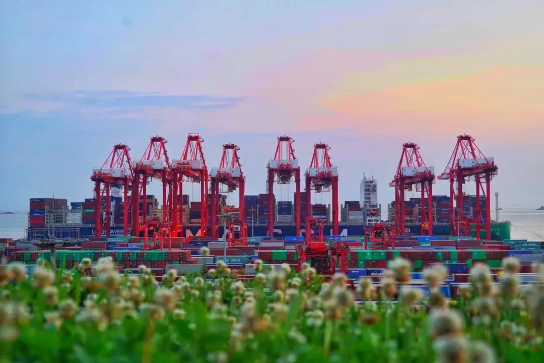 阳逻港至仙桃港集装箱水运新通道开通 -亚游国际物流