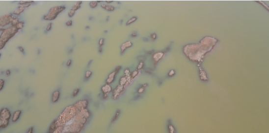 亚游国际·(中国集团)官方网站首页